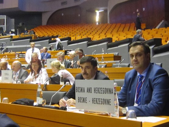 Članovi Parlamentarne skupštine NATO-a na zasjedanju u Tirani podržali BiH u naporima da aktivira MAP